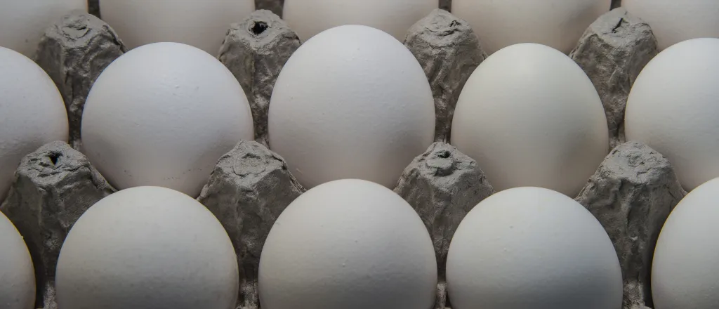 A tray of eggs.
