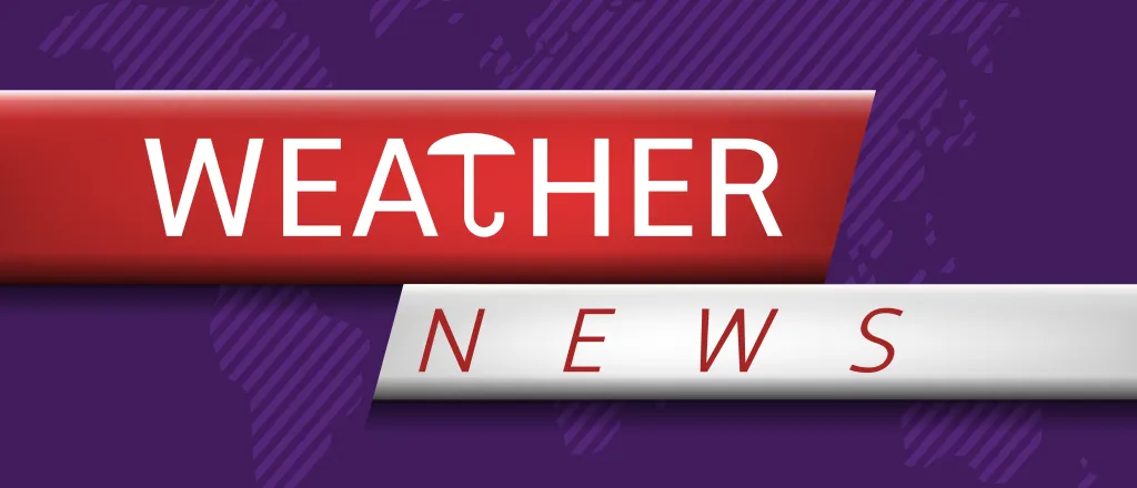 Words "Weather News" with the 'T' stylized as an umbrella.