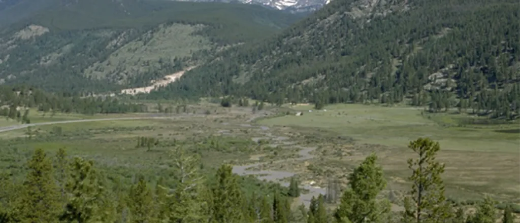 Mountains in the distance at Horseshoe Park in Rocky Mountain National Park