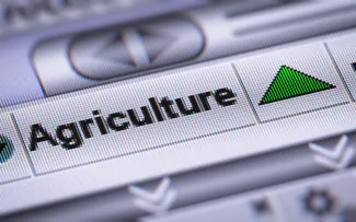 Close up of a computer screen showing the word "Agriculture."