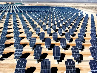 Field of utility-scale photovoltaic solar panels.